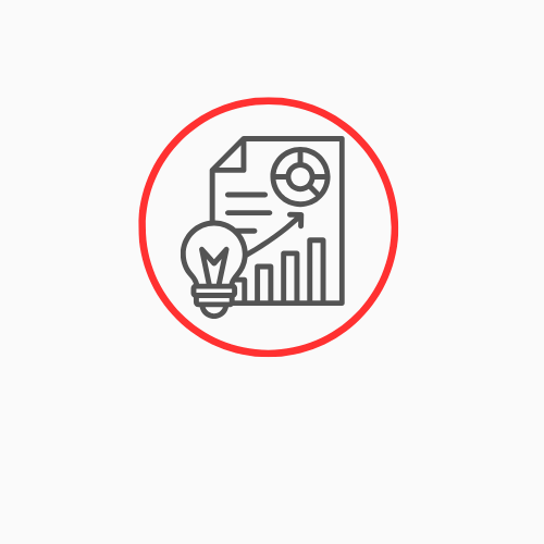 Reporting & Insights